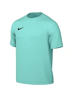 Pánské tričko Nike Dri-Fit Park VIII mint HV8173 354 pánské