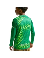 Dětské tričko Nike FC Barcelona Stadium Goalkeeper 2026/27, zelené, II3610 324 Dětské tričko Nike FC Barcelona Stadium Goalkeeper 2026/27, zelené, II3610 324