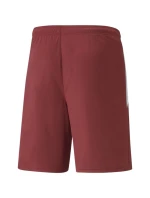 Puma teamLIGA M 704924 09 šortky Puma teamLIGA M 704924 09 šortky
