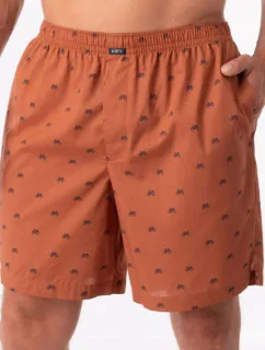 PÁNSKÉ ŠORTKY MXC 117 B24