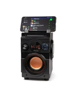 SQUEAK SPEAKER BASSBLASTER BLUETOOTH 5.1, FM RÁDIO, MP3 PŘEHRÁVAČ SQ1001