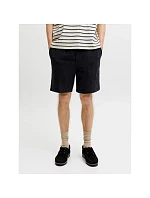 Jack&Jones pánské šortky JPSTJAIDEN COBA STRIPE JOG SHORTS REG SN 12274413 BLACK Jack&Jones pánské šortky JPSTJAIDEN COBA STRIPE JOG SHORTS REG SN 12274413 BLACK