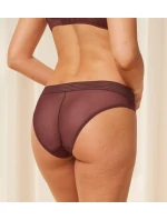 Tempting Sheer Highleg Tai 2P - BROWN - TRIUMPH BROWN - TRIUMPH