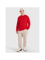 Pánská mikina 4F 4FWMM00TSWSM1767-062S s kapucí bez svetru