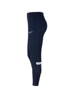 Kalhoty Nike Dri-FIT Academy M CW6122-451