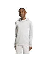 Adidas ENTRADA 26 Hoody Junior Mikina JZ6562