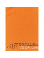 Chlapecké tričko s potiskem 4F 4FJWAW25TTSHM2415-70S