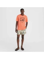 Plavecké šortky O'Neill Mix&Match Cali Print 15'' M 92800613873 Plavecké šortky O'Neill Mix&Match Cali Print 15'' M 92800613873