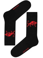 Pánské ponožky John Frank JFLSSPRT16