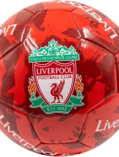 Liverpool FC fotbal 7009800