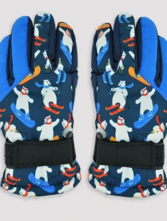 LYŽAŘSKÉ RUKAVICE RN063