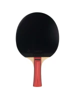 JUNIORSKÁ RAKETA NA STOLNÍ TENIS JOOLA TEAM