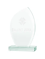 Skleněná 3D gravírovaná trofej s pouzdrem