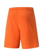 Pánské kraťasy TeamRise Short Prist M 704942 08 - Puma