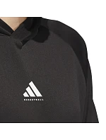 Mikina adidas Basketball Crazy Warm Hoody M JN2491 pánské