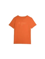 Tričko 4F M 4FAW23TTSHM0865-70S pánské