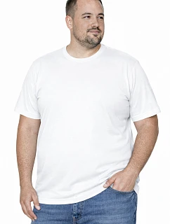 Pánské těžké tričko 21172-20-4XL-5XL