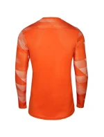 Dětská brankářská mikina Dry Park IV JSY LS JR CJ6072-819 - Nike Dětská brankářská mikina Dry Park IV JSY LS JR CJ6072-819 - Nike