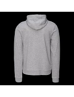 Pánská mikina IANTO