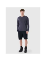 Pánské trekové šortky 4Way Stretch 4F 4FWSS25TFSHM0877-20S