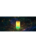 Govee H6022 | LED lampa | RGBICWW, 2700k-6500k, Wi-Fi, Bluetooth