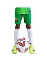 Dětské šortky Nike FC Barcelona 2025/26 Stadium Goalkeeper green HQ0475 310