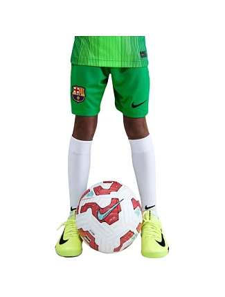 Dětské šortky Nike FC Barcelona 2025/26 Stadium Goalkeeper green HQ0475 310