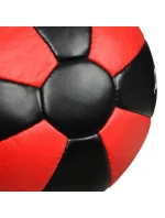 Cvičební medicinbal ARB-2301 - 3 kg