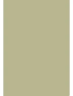 Dámské ponožky 073 - Steven