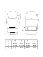 Pronájem podlahového kruhu o rozměrech 5,5 x 5,5 m s bojištěm o rozměrech 4,9 x 4,9 m s dopravní službou