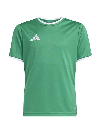 Dětské tričko Adidas Entrada 26 Jersey Green JZ2528