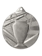 Celková stříbrná medaile s pohárem