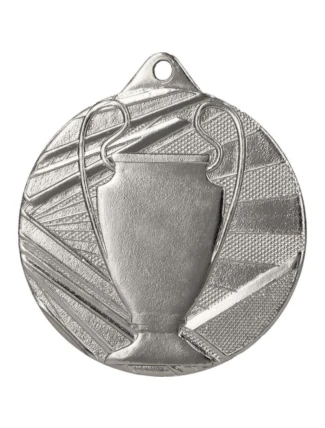 Celková stříbrná medaile s pohárem