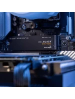 WD Black SN7100 2TB M.2 NVMe SSD WDS200T4X0E