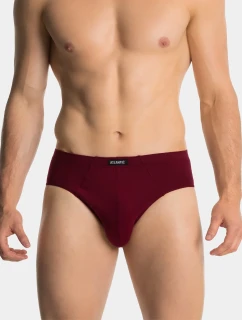 Klasické pánské slipy ATLANTIC 3Pack - černé/šedé/vínové