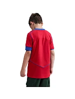 Dětský dres Nike PSG Stadium 2025/26 červená HM4126 680