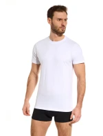 PÁNSKÉ TRIČKO TT002 PÁNSKÉ TRIČKO TT002