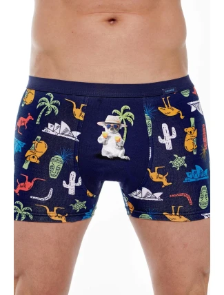 BOXERSKÉ TETOVÁNÍ 280 JARO 2024