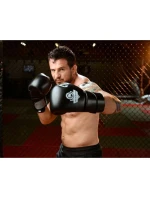 Boxerské rukavice 10oz - Eclipse - Origin Series