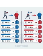 Tréninkové boxerské rukavice Meteor 6 oz, suchý zip, PU