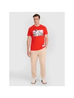 Pánské volejbalové tričko s potiskem 4F 4FRAW25TTSHM3319-62S