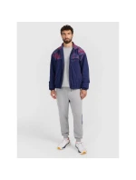 Pánská mikina s kapucí 4F 4FRAW25TSWSM2483-31S