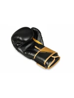 Boxerské rukavice 10oz - Infinity - Origin Series