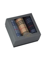 Pánské kapesníky CH-857 kpl=3 ks Pánské kapesníky CH-857 kpl=3 ks