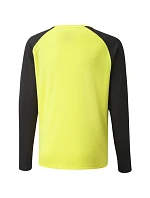 Brankářská mikina Puma teamPacer GK LS Jersey Jr 704939 42