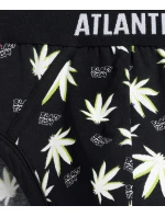 Blazy Tom 3MP-160 3-pack slipy - Atlantic Blazy Tom 3MP-160 3-pack slipy - Atlantic