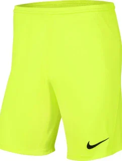 Pánská obuv Dry Park III NB K M BV6855 702 - Nike