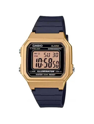 Hodinky CASIO W-217HM-9AVDF + krabice Hodinky CASIO W-217HM-9AVDF + krabice