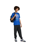 Pánské adidas FIFA World Cup 26TM Road to NYNJ Graphic T-shirt blue KB2534 pánské