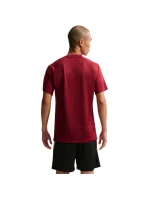 Nike Dri-Fit Park VIII pánské tričko bordó HV8173 677 pánské